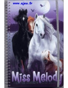 Miss Melody