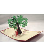 Cartes 3D CAMELEON