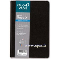 Agenda Sapa X 2027 Quo Vadis