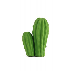 Gomme Cactus mexicain
