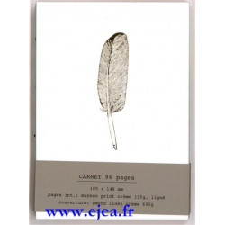 Carnet A6 Gold Fever Plume