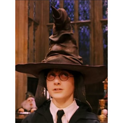 Harry Potter Choixpeau Magique