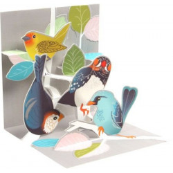 Mini carte pop-up Oiseaux