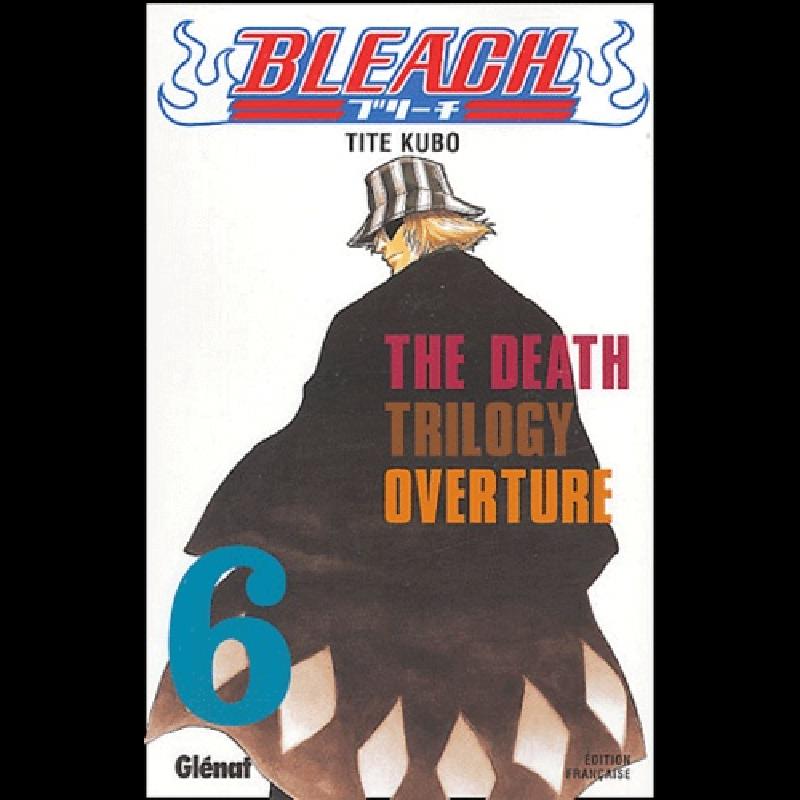 Bleach Tome 6