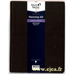 Agenda Planning SD...