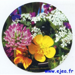 Carte ronde Bouquet champêtre 
