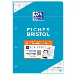 Fiches Bristol 2.0 Oxford A4