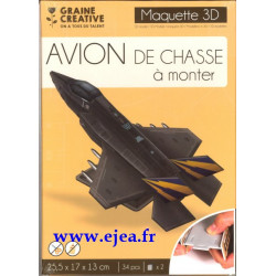 Maquette 3D Avion de chasse...