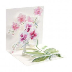 Mini carte pop-up Orchidées...