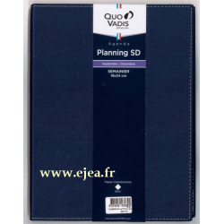 Agenda Planning SD...