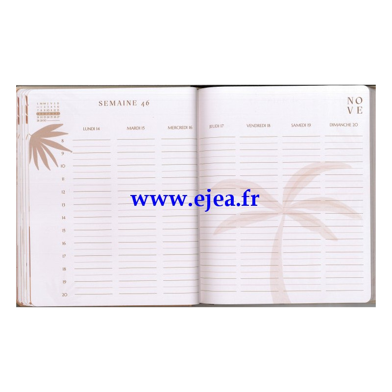 Agenda Planner Juste Zoé 2023 16 mois