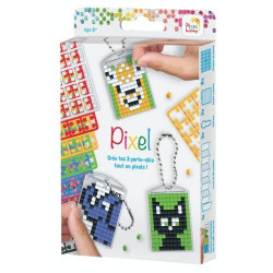 Pixel Hobby Kit 3...