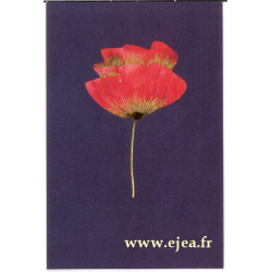 Carte double Icônes Coquelicot