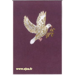 Carte double Icônes Voeux...