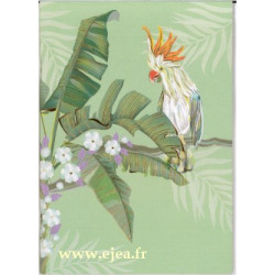 Cahier Turnowsky A5 Perroquet