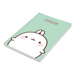 Carnet A5 Molang vert