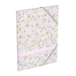 Mini chemise Oxford Floral...