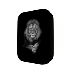 Boite à tout Lion