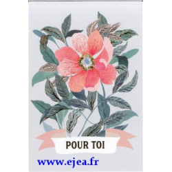 Carte Au Pays des...