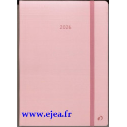 Agenda Daily 21 Color 2026...