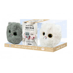 Mes jolis chatons anti-froid