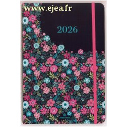 Agenda 2026 Anahita 25 Marine