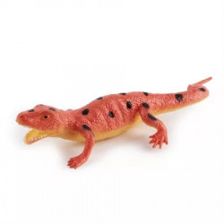 Lézard Insects World