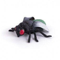 Mouche Insects World