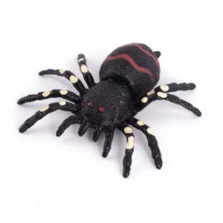 Araignée Insects World