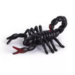 Scorpion Insects World