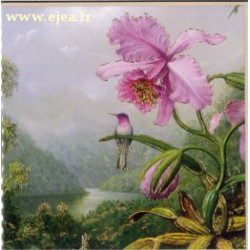 Carte double Le Musée...