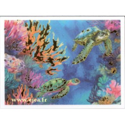 Carte double Aurora Vie...