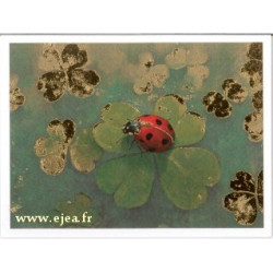 Carte double Aurora Coccinelle