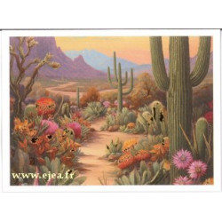 Carte double Aurora Désert