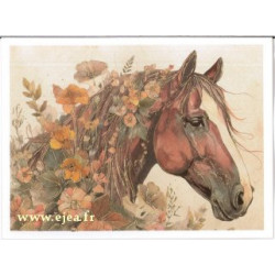 Carte double Aurora Cheval