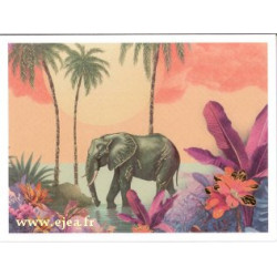 Carte double Aurora Eléphant