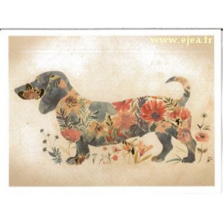 Carte double Aurora Teckel