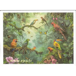 Carte double Aurora Perroquets