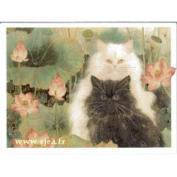 Carte double Aurora Chats