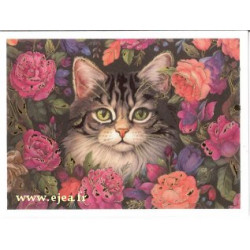 Carte double Aurora Chat et...