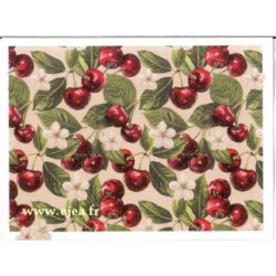 Carte double Aurora Cerises