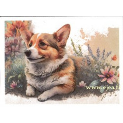 Carte double Aurora Corgi