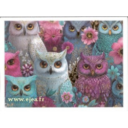 Carte double Aurora Hiboux