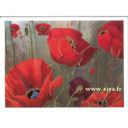 Carte double Aurora...