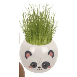 Tête d'herbe Kawaii PANDA