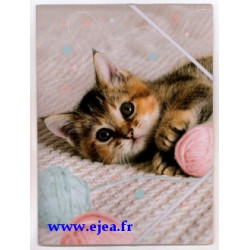 Chemise A4 Chaton