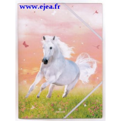 Chemise A4 Cheval et papillons