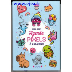 Agenda scolaire Pixels à...
