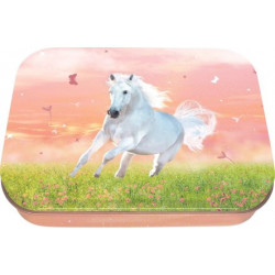 Boite à tout Cheval et...