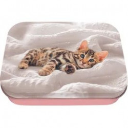 Boite à tout Chaton